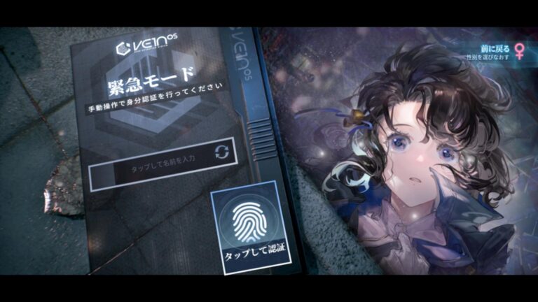 アッシュエコーズのユーザ名入力画面