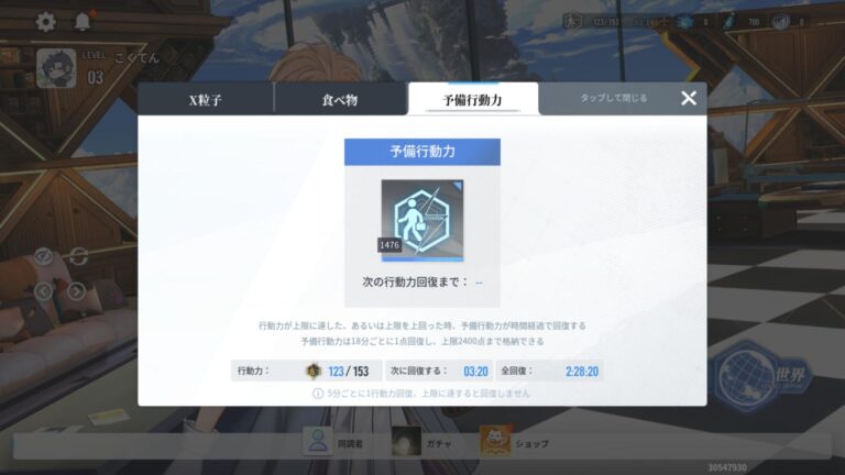 アッシュエコーズのインベントリ