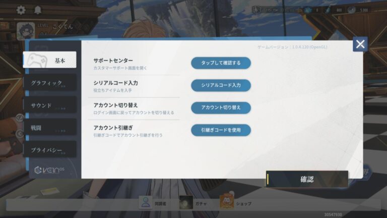 アッシュエコーズのオプション・設定