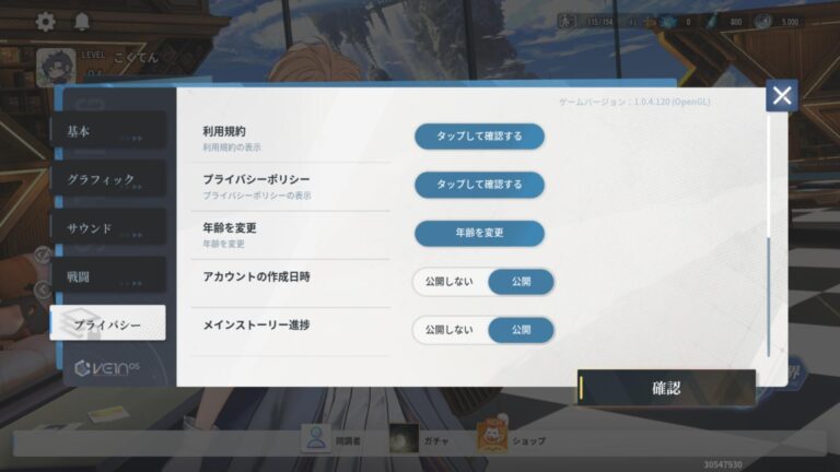 アッシュエコーズのオプション・設定