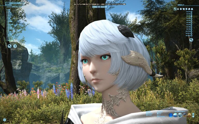 ファイナルファンタジーXIV（FF14）のキャラメイク・カスタマイズ