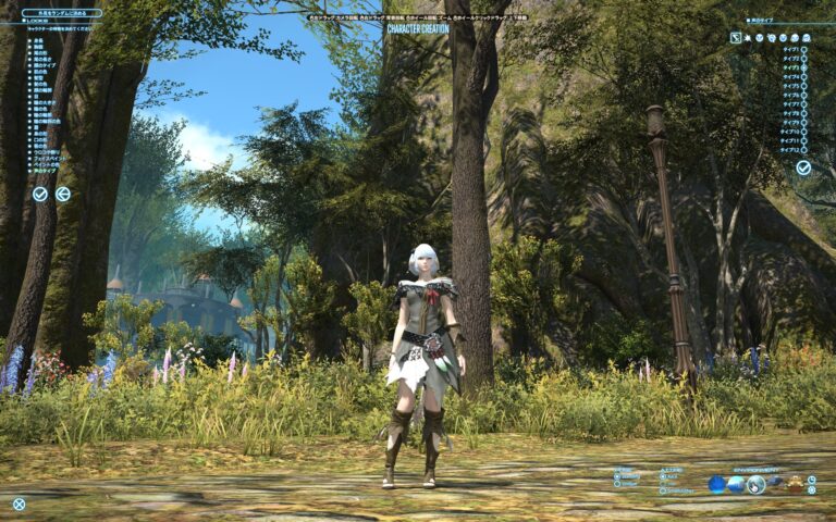 ファイナルファンタジーXIV（FF14）のキャラメイク・カスタマイズ