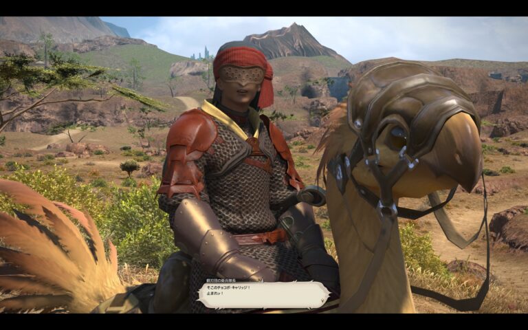 ファイナルファンタジーXIV（FF14）のアドベンチャーパート