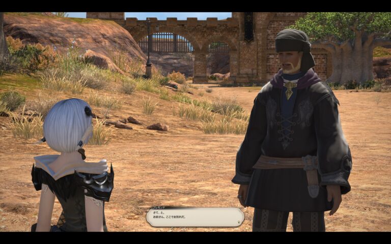 ファイナルファンタジーXIV（FF14）のアドベンチャーパート
