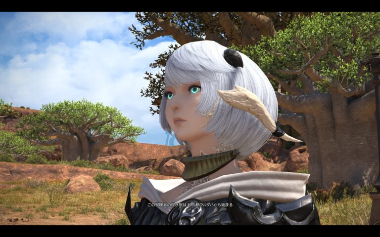 ファイナルファンタジーXIV（FF14）のアドベンチャーパート