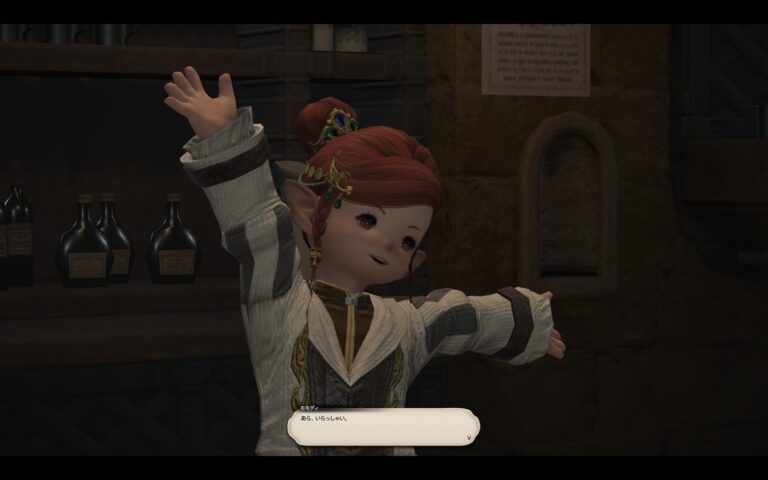 ファイナルファンタジーXIV（FF14）のアドベンチャーパート