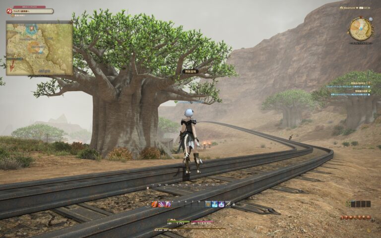 ファイナルファンタジーXIV（FF14）のフィールド画面