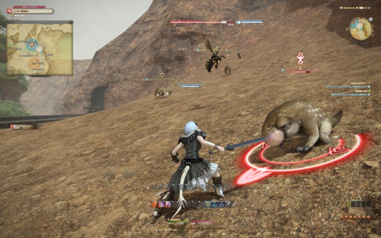ファイナルファンタジーXIV（FF14）のバトル画面