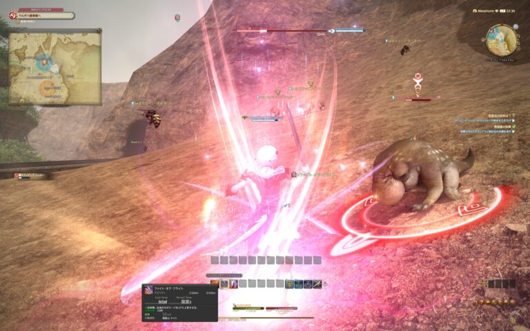 ファイナルファンタジーXIV（FF14）のバトル画面