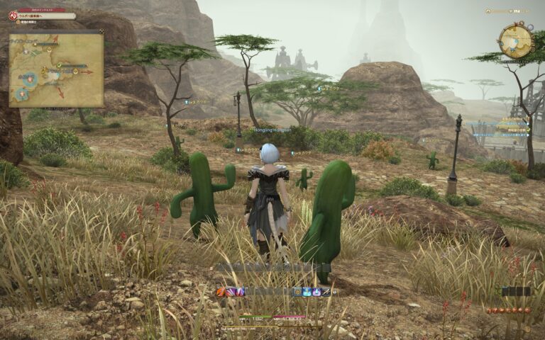 ファイナルファンタジーXIV（FF14）のフィールド画面