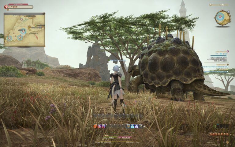 ファイナルファンタジーXIV（FF14）のフィールド画面