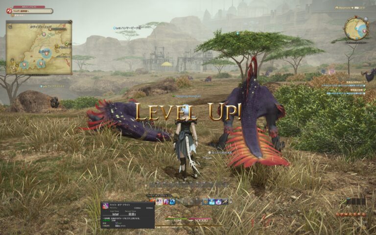 ファイナルファンタジーXIV（FF14）のレベルアップ・ランクアップ