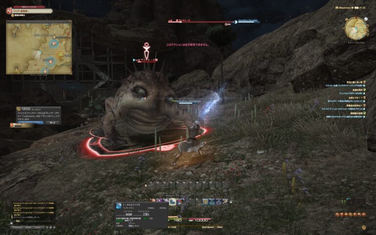 ファイナルファンタジーXIV（FF14）のバトル画面