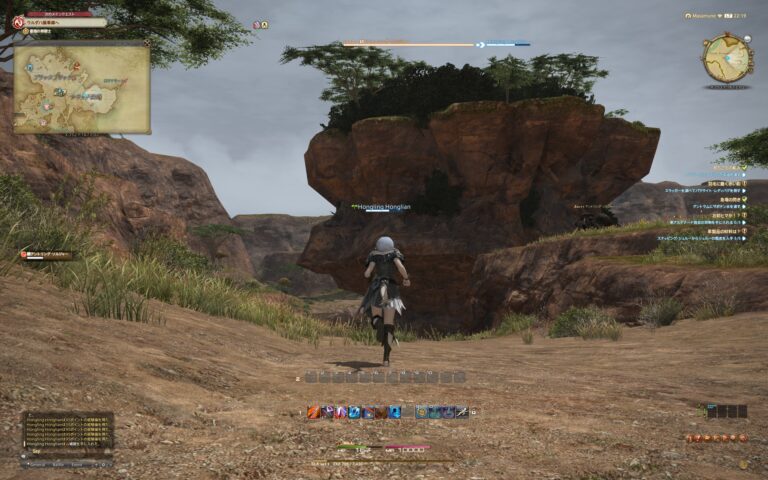 ファイナルファンタジーXIV（FF14）のフィールド画面