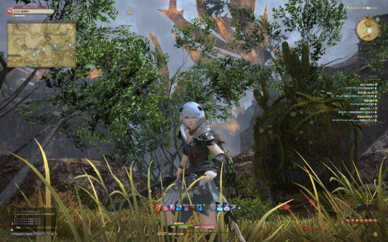 ファイナルファンタジーXIV（FF14）のフィールド画面