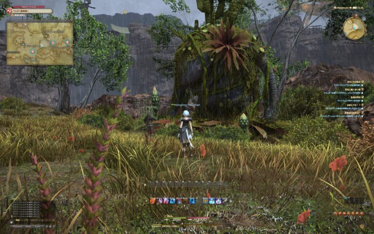ファイナルファンタジーXIV（FF14）のフィールド画面