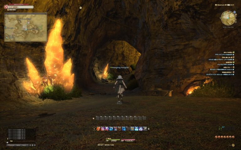 ファイナルファンタジーXIV（FF14）のフィールド画面