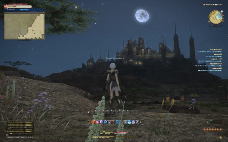 ファイナルファンタジーXIV（FF14）のフィールド画面