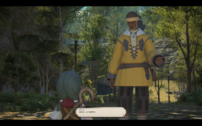 ファイナルファンタジーXIV（FF14）のアドベンチャーパート