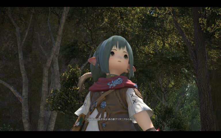 ファイナルファンタジーXIV（FF14）のアドベンチャーパート