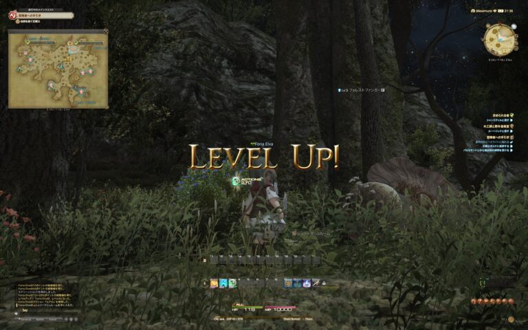 ファイナルファンタジーXIV（FF14）のレベルアップ・ランクアップ