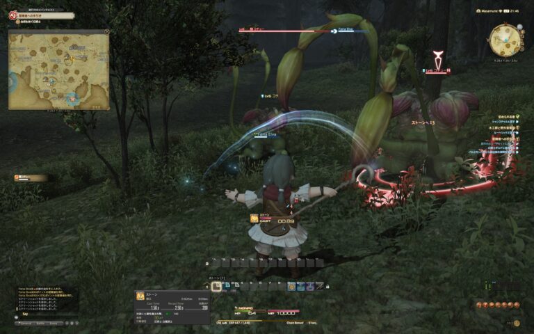 ファイナルファンタジーXIV（FF14）のバトル画面