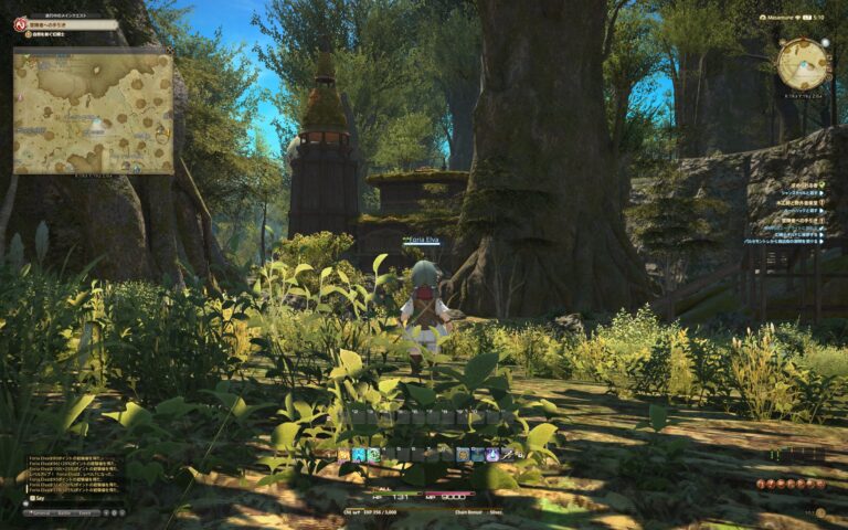 ファイナルファンタジーXIV（FF14）のフィールド画面