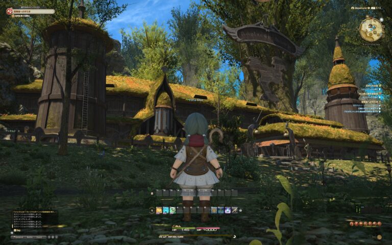 ファイナルファンタジーXIV（FF14）のフィールド画面