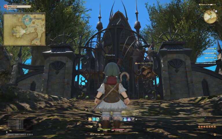 ファイナルファンタジーXIV（FF14）のフィールド画面