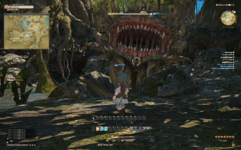 ファイナルファンタジーXIV（FF14）のバトル画面