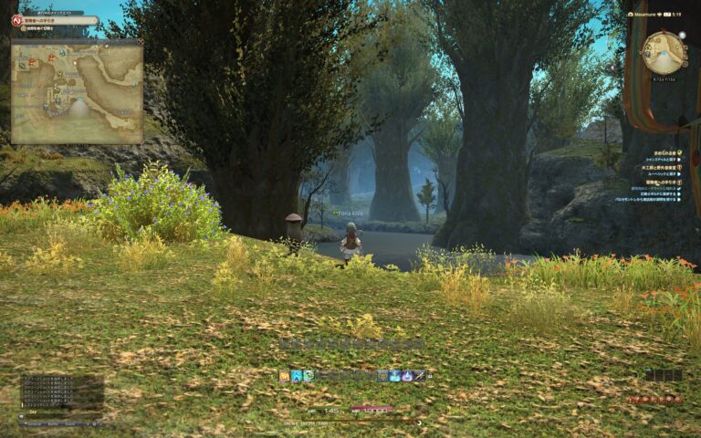 ファイナルファンタジーXIV（FF14）のフィールド画面